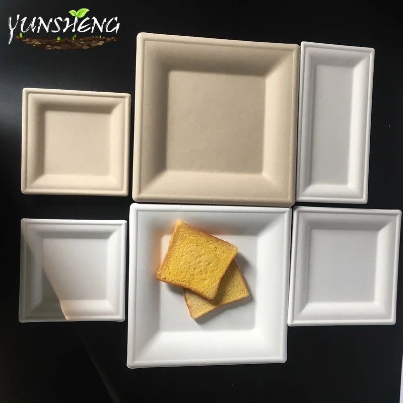 Bagasse Pulp Compostable Durable Paper Square Plate for Fruit