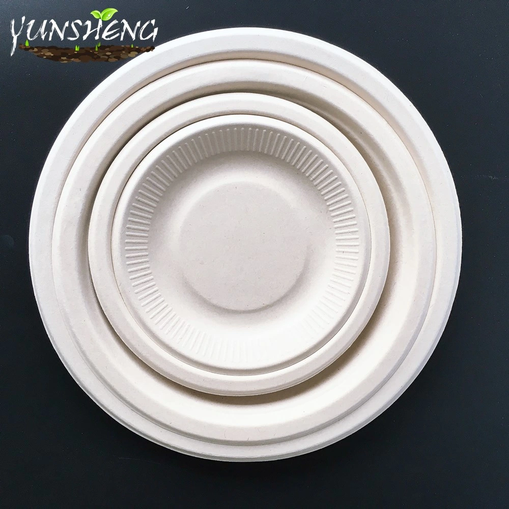 Customized Disposable Biodegradable Paper Round Plates for Delicious Food or Fruit on Party Made by Compostable Materials